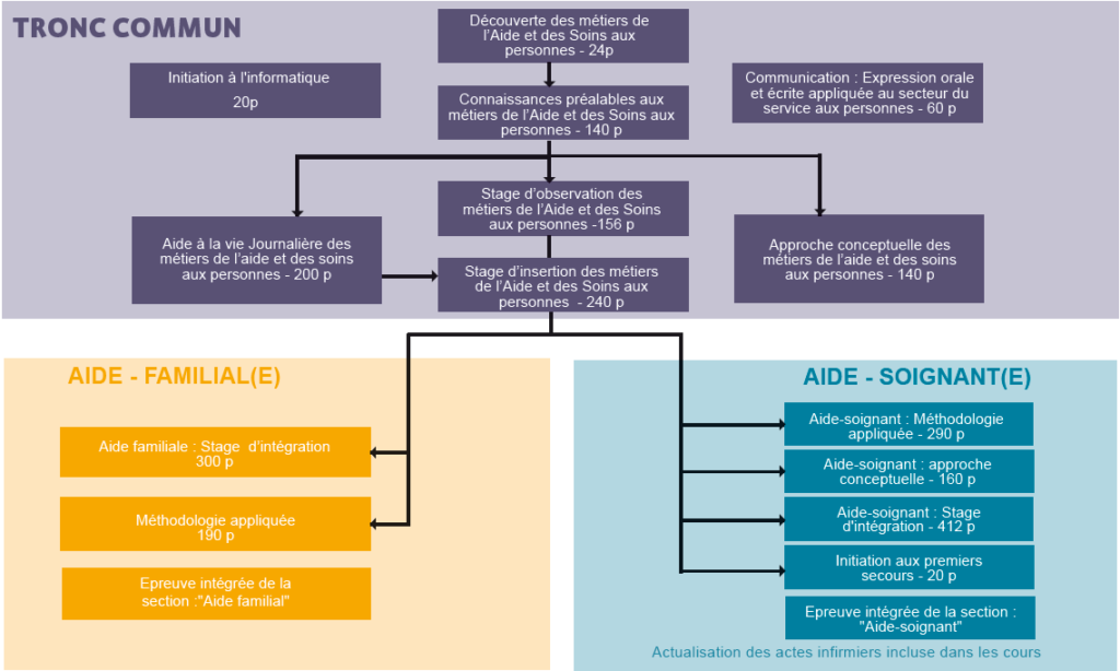 Aide Familiale / Aide Soignante - IPEPS Verviers - Orientation Commerciale